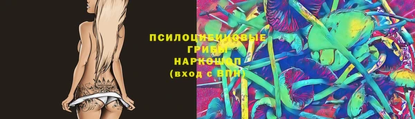 шишки Осташков