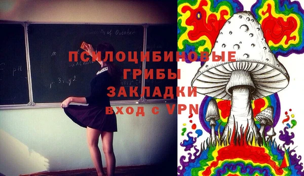 твердый Осинники