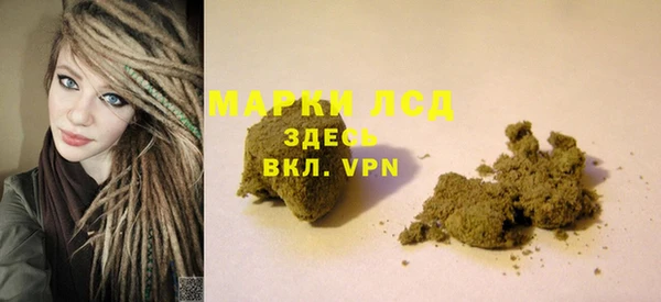 mdpv Гатчина