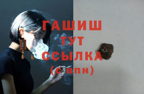 PSILOCYBIN Заводоуковск