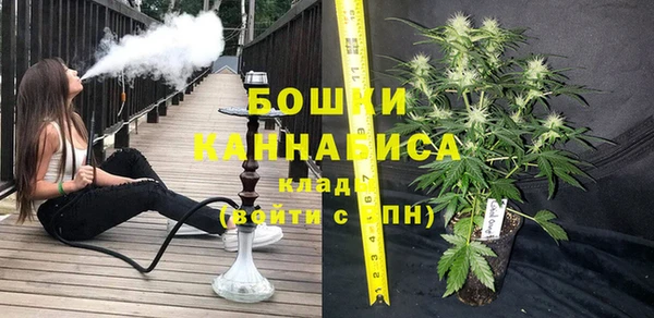 шишки Осташков