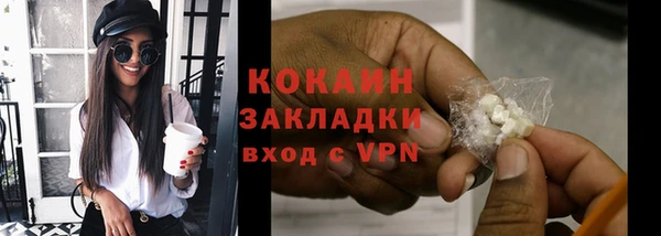 шишки Осташков