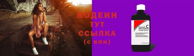шишки Осташков