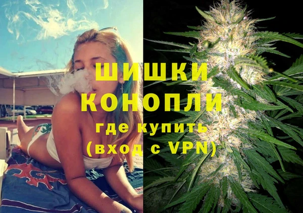 шишки Осташков