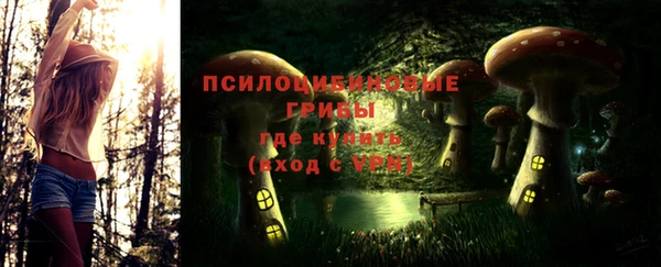 PSILOCYBIN Заводоуковск