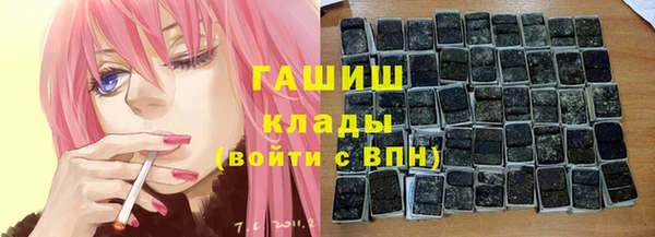 шишки Осташков