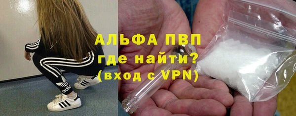 шишки Осташков