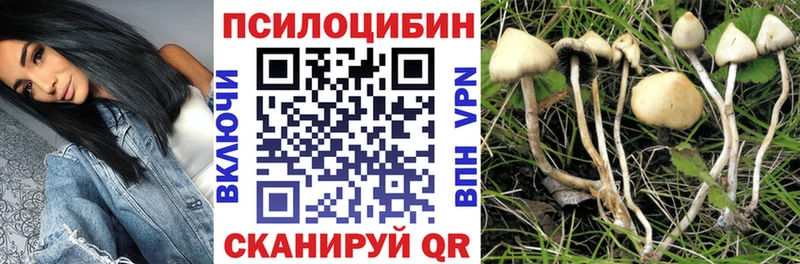 Псилоцибиновые грибы Psilocybe  blacksprut ТОР  Гурьевск 