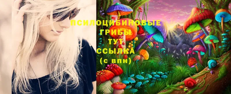 Псилоцибиновые грибы MAGIC MUSHROOMS  Гурьевск 