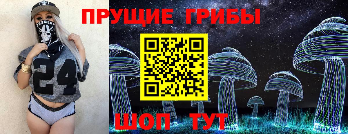 Галлюциногенные грибы Psilocybine cubensis Гурьевск