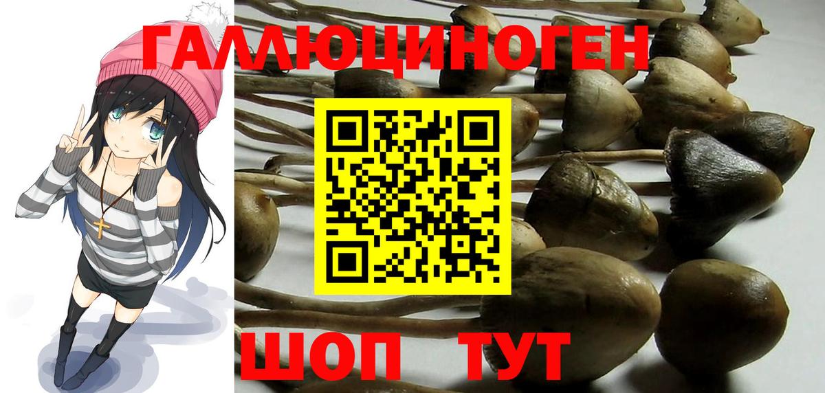Псилоцибиновые грибы мицелий  Гурьевск 
