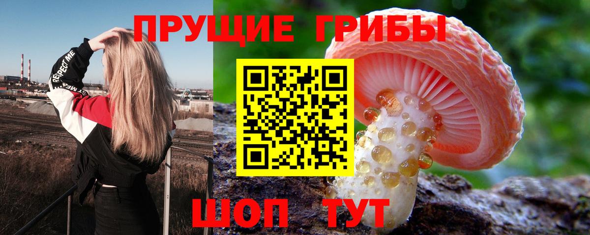 Псилоцибиновые грибы Psilocybe  Псилоцибиновые грибы Psilocybine cubensis  Гурьевск  Вход с VPN 